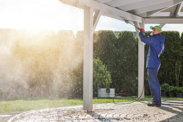 Best Solar Panel Cleaning  in Taft Southwest, TX