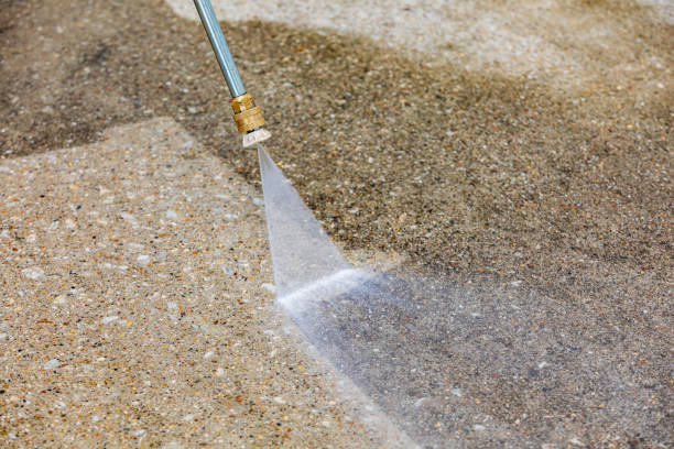 Best Roof Washing  in Taft Southwest, TX
