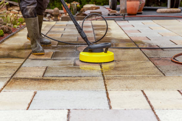 Best Driveway Pressure Washing  in Taft Southwest, TX